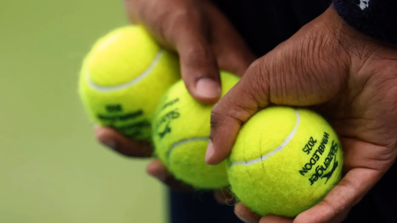 the-man-who-painted-wimbledon-yellow-a-tribute-to-sir-david-attenborough-image-0